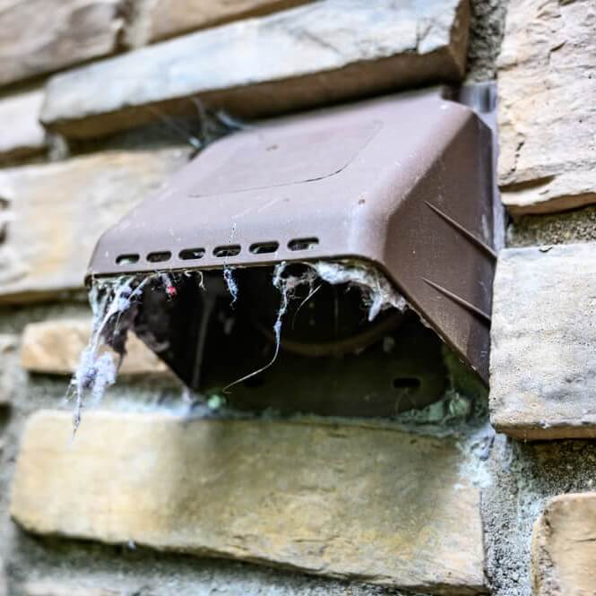 dryer lint in vent ()