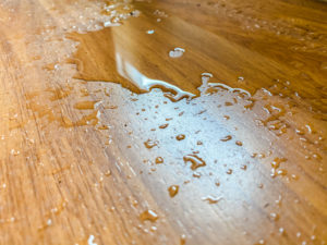 Water on hardwood floor