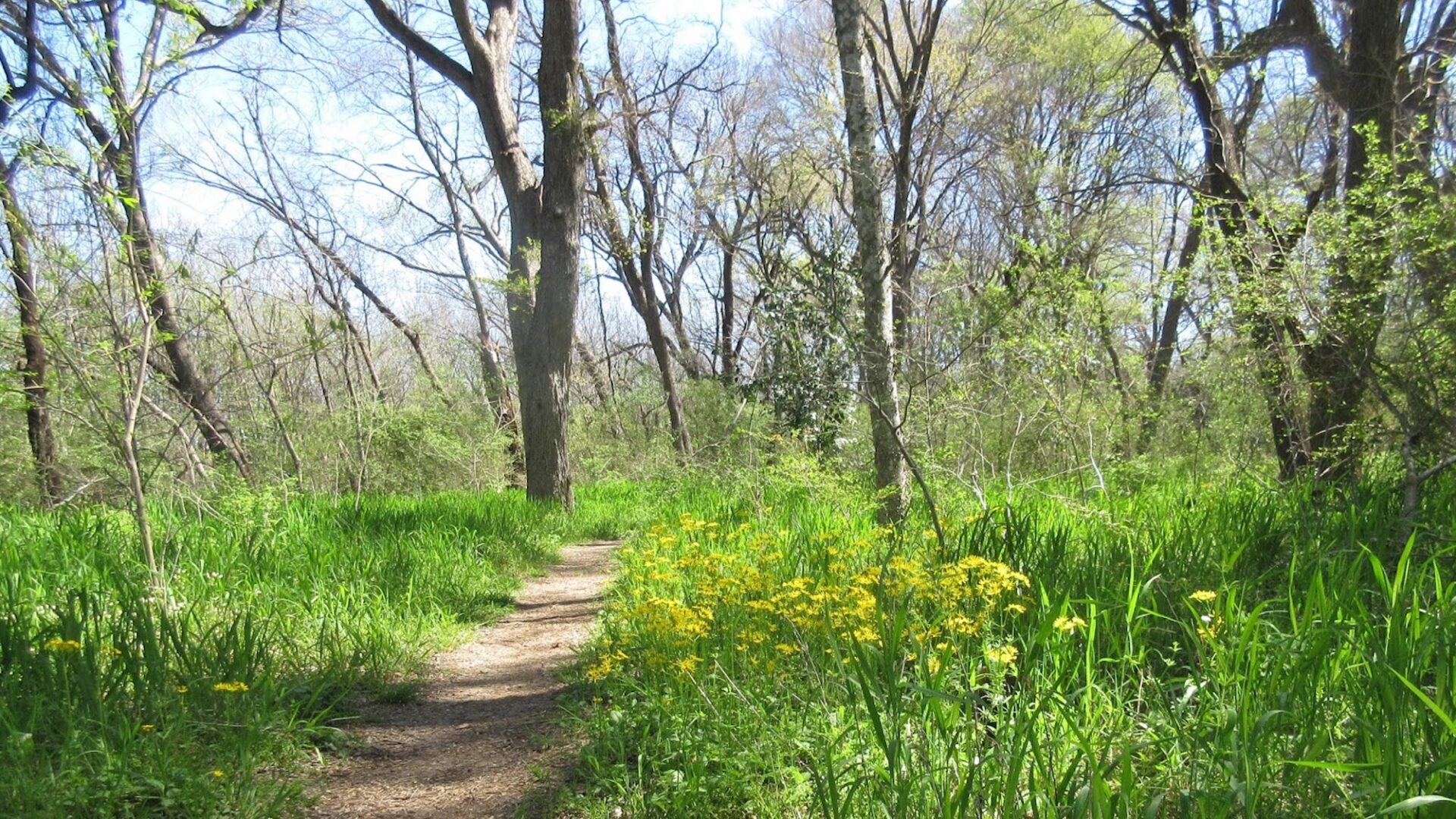 Things to Do in Rowlett, TX